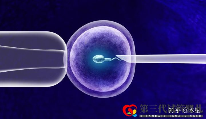 如果患有基因遺傳病可不可以通過(guò)試管的方式避免(圖1)