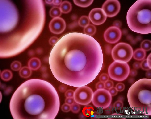 【貼心醫(yī)生】第三代試管要取多少卵子才可以成功得到一個(gè)健康的試管寶寶？(圖1)