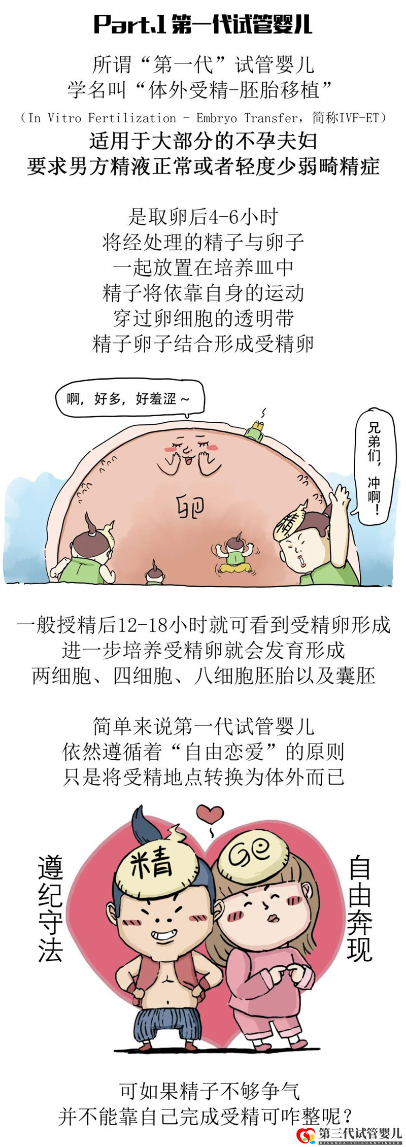 一代更比一代強(qiáng)三代試管強(qiáng)無(wú)敵(圖4)