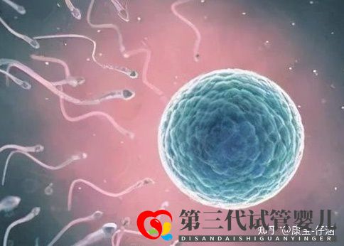 通俗易懂的一、二、三代試管嬰兒解說,及三代試管能...(圖1)