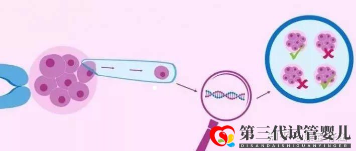 通俗易懂的一、二、三代試管嬰兒解說,及三代試管能...(圖5)