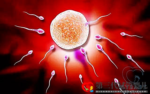 精子不動可以做試管嗎？(圖1)