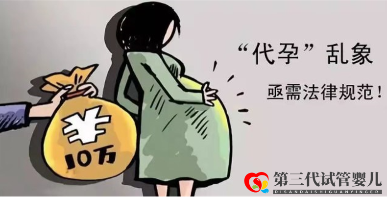 暗訪國內私立供卵試管助孕機構，揭開咨詢代孕地下產(chǎn)業(yè)的不法內幕(圖4)