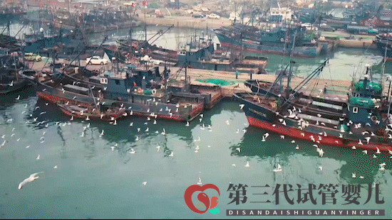 跟著王麗坤去打卡！日照這些地方火遍全國了！你去過哪個(gè)？(圖3)