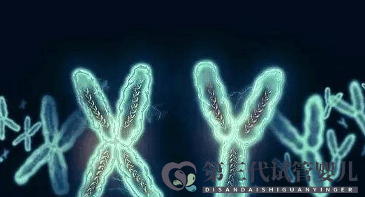 MDS有染色體異常是不是很難治？(圖1)