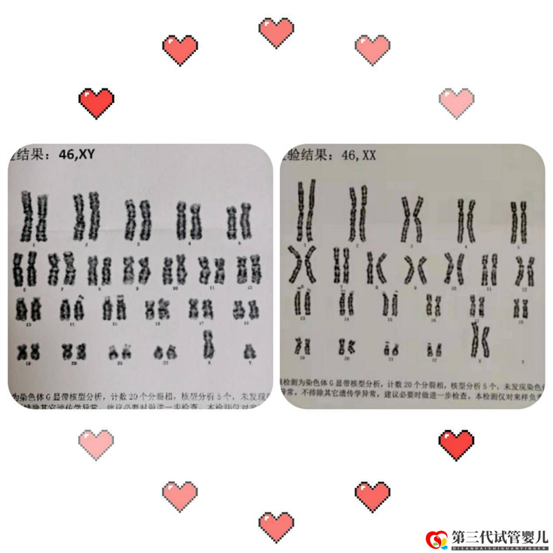為什么父母染色體正常，胚胎染色體卻有問(wèn)題？(圖1)