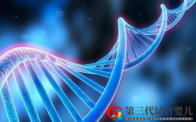 為什么父母染色體正常，胚胎染色體卻有問(wèn)題？(圖2)