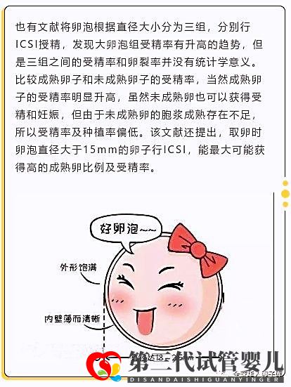 卵泡大小和試管成功率有關(guān)系嗎？大卵泡是不是越多越好？(圖3)