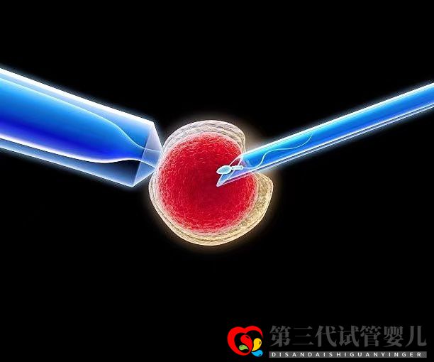 高齡女性在做三代試管時，取多少個卵子合適？(圖1)