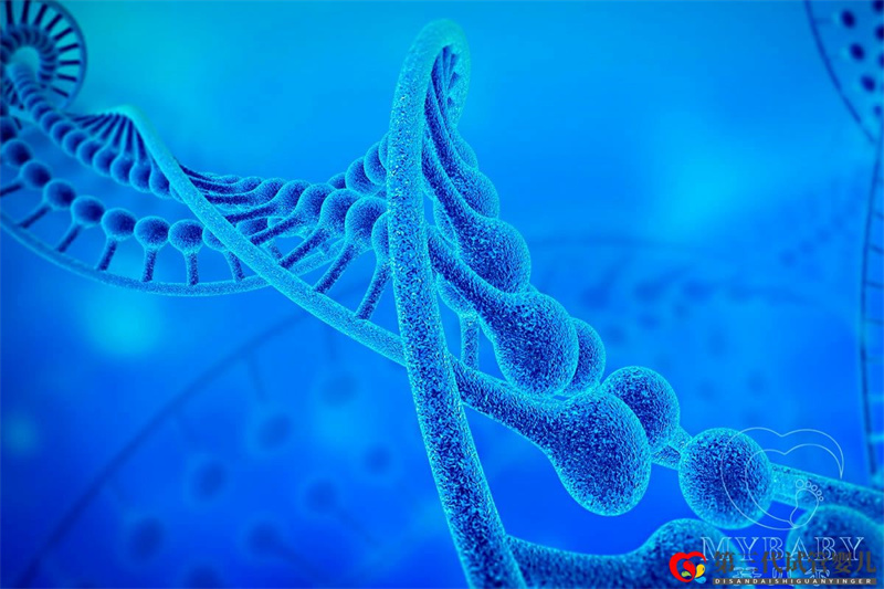 染色體異常能做試管嬰兒嗎？試管嬰兒要查染色體嗎？(圖1)