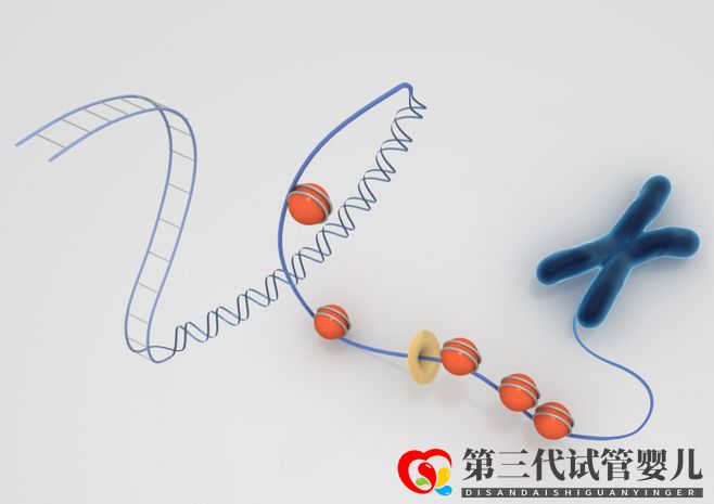 染色體異常，能通過試管嬰兒要孩子嗎(圖1)