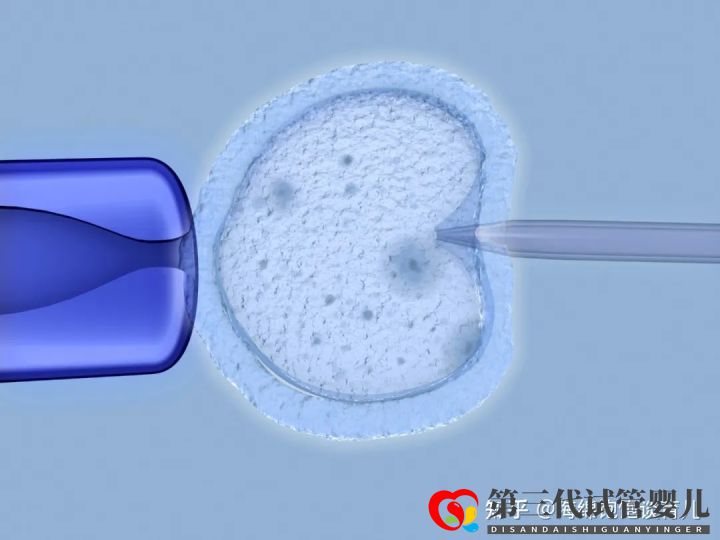 試管嬰兒1代、2代、3代、4代哪個(gè)最好真實(shí)操作過...(圖12)