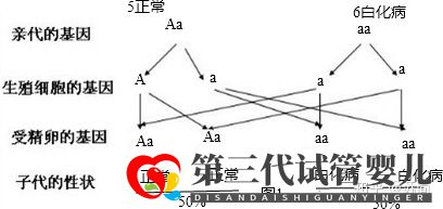 泰國三代試管PGD技術能解決白化病的遺傳問題嗎(圖2)