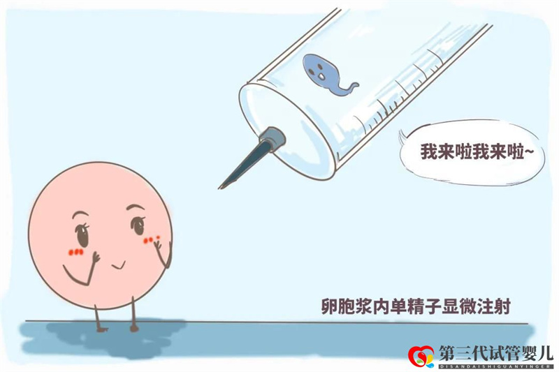 試管真的可以解決懷孕困難嗎？？試管五點(diǎn)誤區(qū)快看~(圖3)