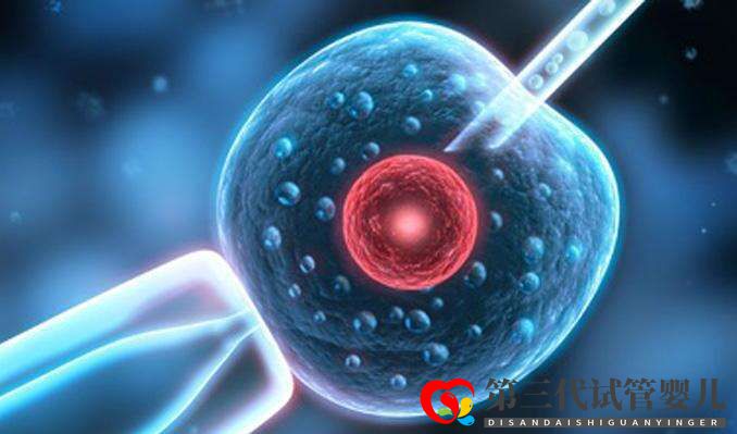 試管嬰兒取卵前后6大注意事項你知道多少？(圖1)