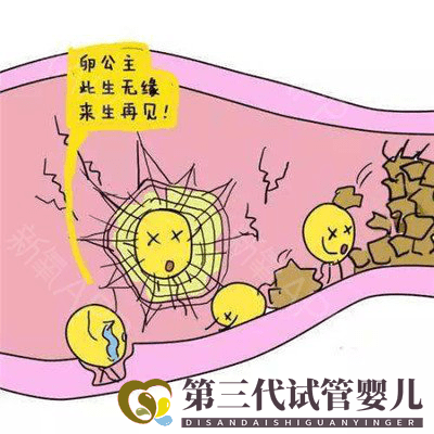 輸卵管通而不暢是如何導致的？如何治療？(圖1)