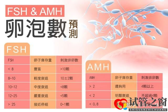 兩分鐘教你學會計算試管嬰兒成功率(圖1)