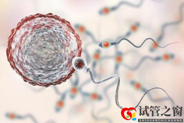 一文帶你了解試管嬰兒整個流程個各個環(huán)節(jié)時間節(jié)點(diǎn)的...(圖2)