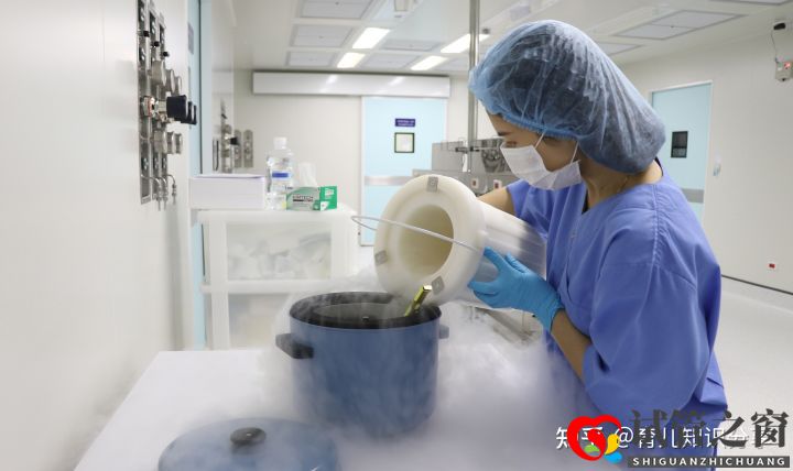 試管嬰兒全部步驟要花多少錢(qián)(圖1)
