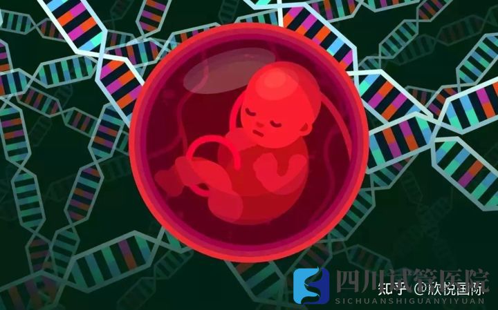 成都第三代試管嬰兒費(fèi)用大概多少錢(圖2)