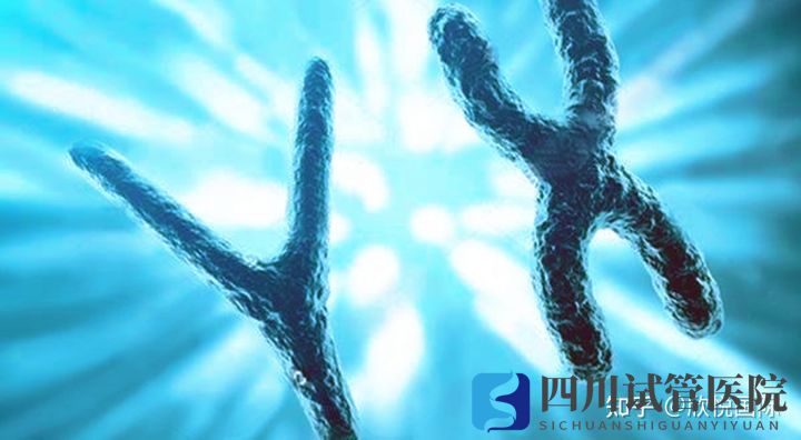 成都第三代試管嬰兒費(fèi)用大概多少錢(圖4)