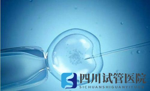 試管嬰兒成功率如何評估？哪種因素最重要？(圖1)