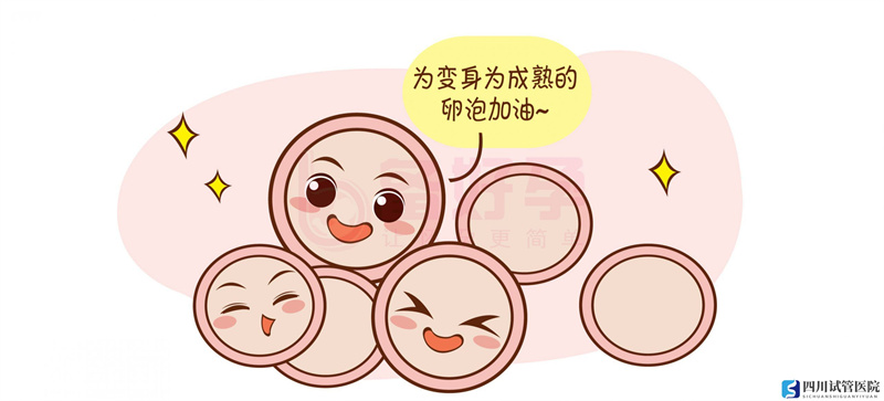 試管嬰兒的具體流程是什么？(圖1)