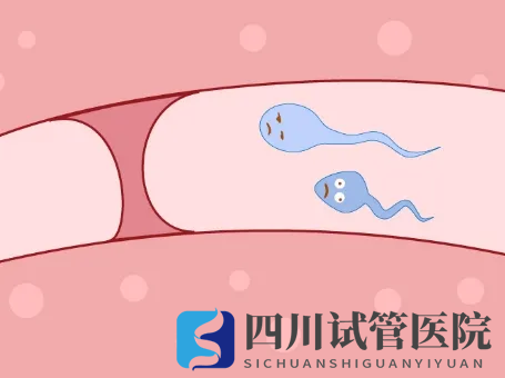 輸卵管堵塞怎么辦？做手術(shù)還是做試管嬰兒好？(圖1)