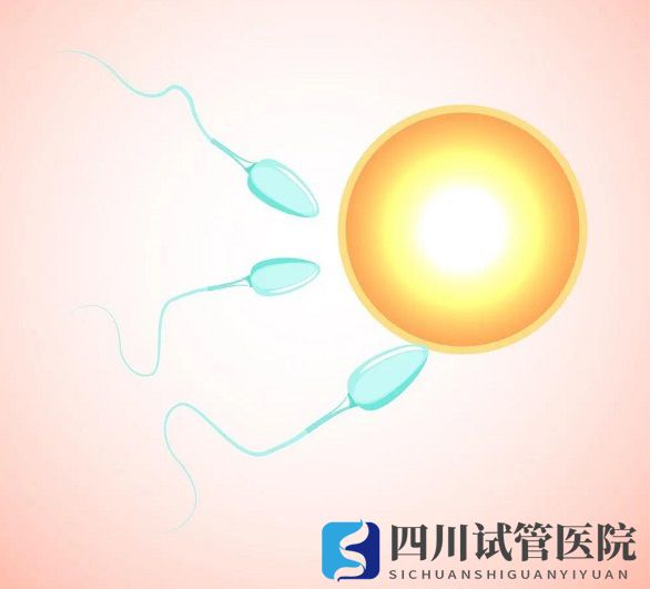 越年輕做試管嬰兒成功率就越高嗎？(圖1)