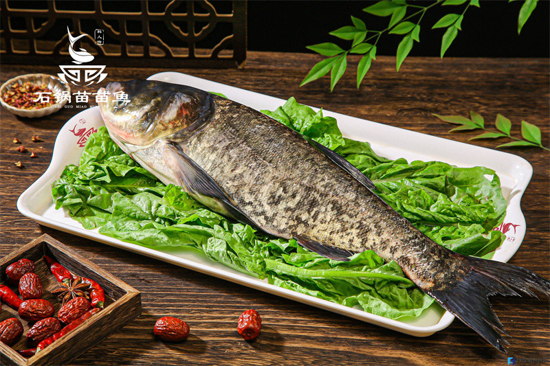 成都加盟火鍋哪家好？石鍋苗苗魚是成都火鍋的靈魂(圖1)