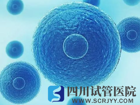 揭秘試管著床7個小妙招，飲食吃對了想失敗都難！(圖1)