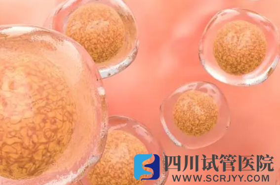 揭秘移植凍胚后著床時(shí)間線，一文知幾天著床有什么感覺(圖2)