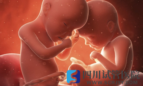 三代試管做雙生子的條件，胚胎質(zhì)量和卵巢功能好才能做(圖3)