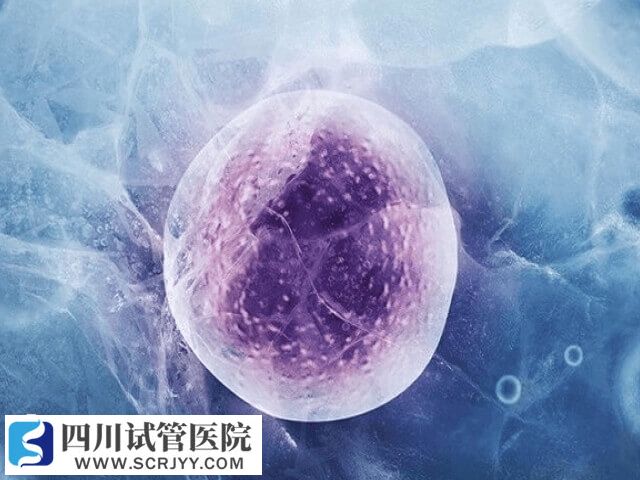 囊胚冷凍是為了進行PGS/PGD技術(shù)篩查